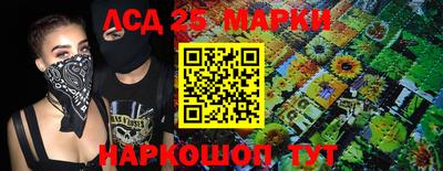 амф Новодвинск