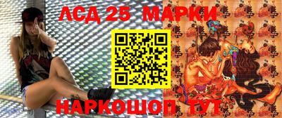 амф Новодвинск