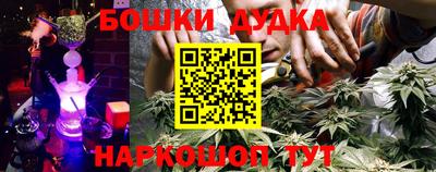 ГАЛЛЮЦИНОГЕННЫЕ ГРИБЫ Новозыбков