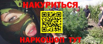 каннабис Новокубанск