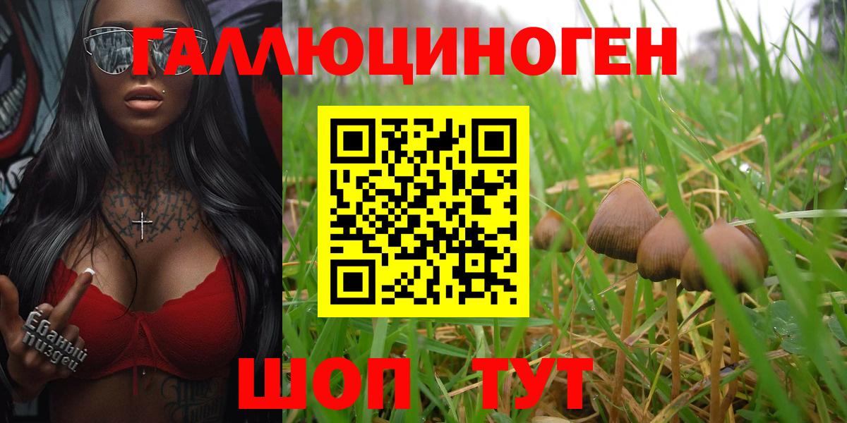 Псилоцибиновые грибы Magic Shrooms  Вход с VPN  Тимашёвск 